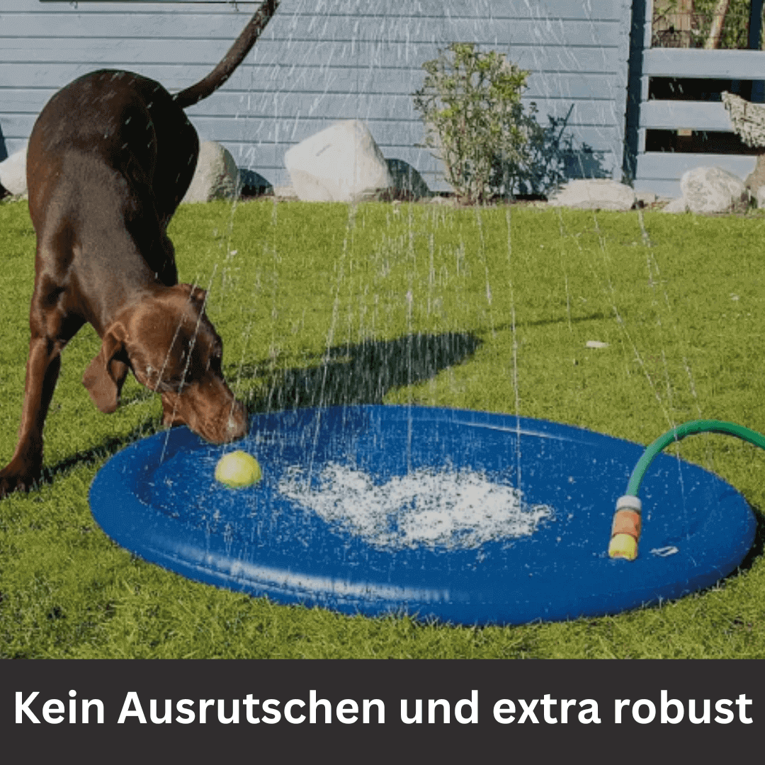 AQUADOGGY Badepool im Garten - Spaß und Erfrischung für Hunde