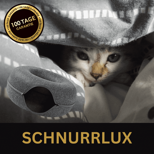 folaMis SchnurrLux - Das ultimative 2-in-1 Spiel- und Ruheparadies für Katzen