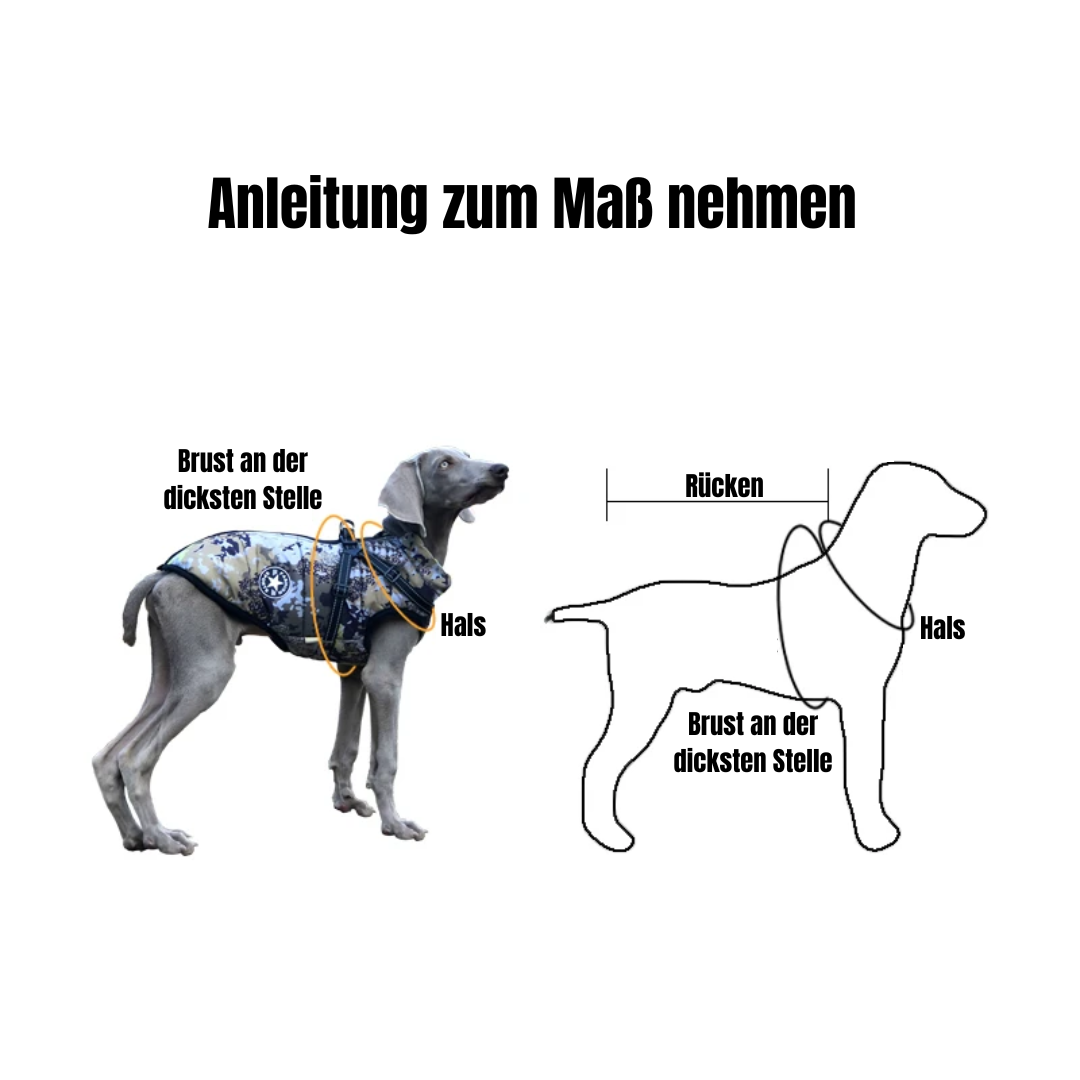 folaMis FrostFlitzer - Schutz und Wärme für moderne Hunde