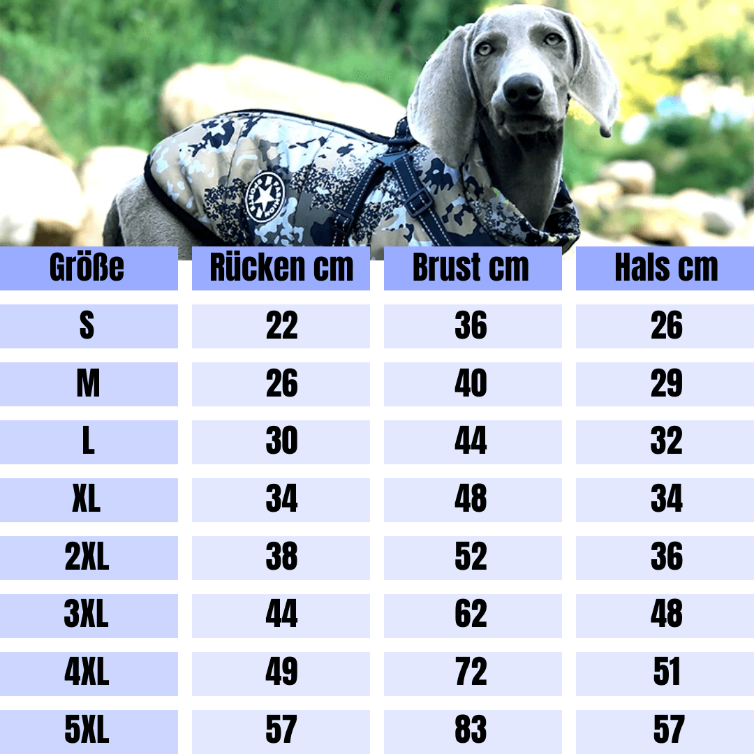 folaMis FrostFlitzer - Schutz und Wärme für moderne Hunde